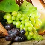 Компот из винограда на зиму: рецепты