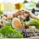Рецепты диетических салатов с тунцом Полезные свойства тунца