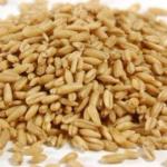 Разновидности круп из пшеницы Что делают из пшеницы